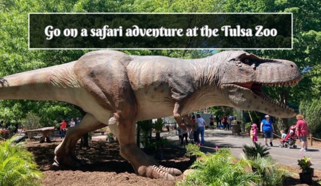 Go on a safari adventure at the Tulsa Zoo